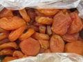 dried apricot 1