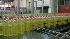 Refined Sunflower Oil