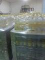 Refined Sunflower Oil 2