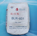 Burleigh Union Titanium Dioxide 1