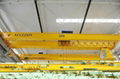 Widely Used Eot Overhead Crane low Price for Sale 3