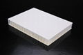 FRP PP Honeycomb sandwich panel 1