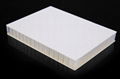 FRP PP Honeycomb sandwich panel 2