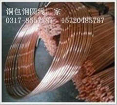 惠豐廠家專業生產銅覆鋼圓線6米 50米100米各種型號齊全 歡迎電議