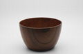 Amis  Wood Shaving Bowl