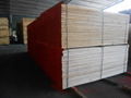 Offer new s4s timber, ab quality 1