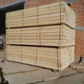  spruce - picea abies  150 x 150 x 3985 mm. 2