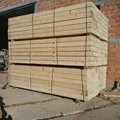  spruce - picea abies  150 x 150 x 3985 mm.