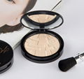 Best Cosmetics Waterproof Face Makeup Compact Powder Illumination Highlighter Po 1