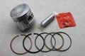 ALDRICH FOR CD70 PISTON AND RING GOOD QUALITY 1