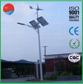专业工厂直销6米50瓦风光互补太阳能路灯