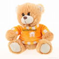 Lovely Teddy Bear with Custom Made T-shirt