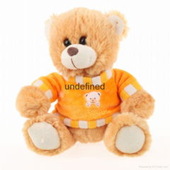 Lovely Teddy Bear with Custom Made T-shirt