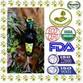 Organic Extra Virgin Olive Oil, Dorica 500 mL 1