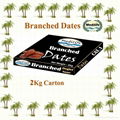 Dates Deglet Noor Branched Dates carton