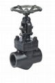 API 602 Forged Steel Globe Valves