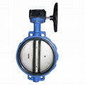 Worm Gear Wafer Soft Seal Butterfly Valves