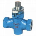 Two-way Internal Thread Stainless Steel Plug Valves 1