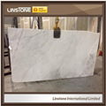 Cheap Price Alibaba Spain White Granite Floor Wall Tiles For Sale 5