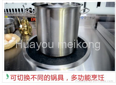 Multifunction Induction cooker  kitchen appliance 5