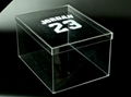 Clear Acrylic Shoe Boxes Stand 4