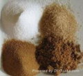 White Crystal High Grade Refined ICUMSA 45 Sugar 3