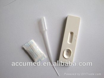 One Step Diagnostic Typhoid Test Kits 2