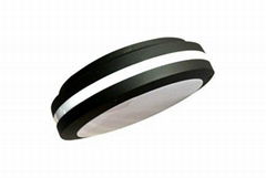 outdoor led ceiling light IP65 IK10 Round black housing 