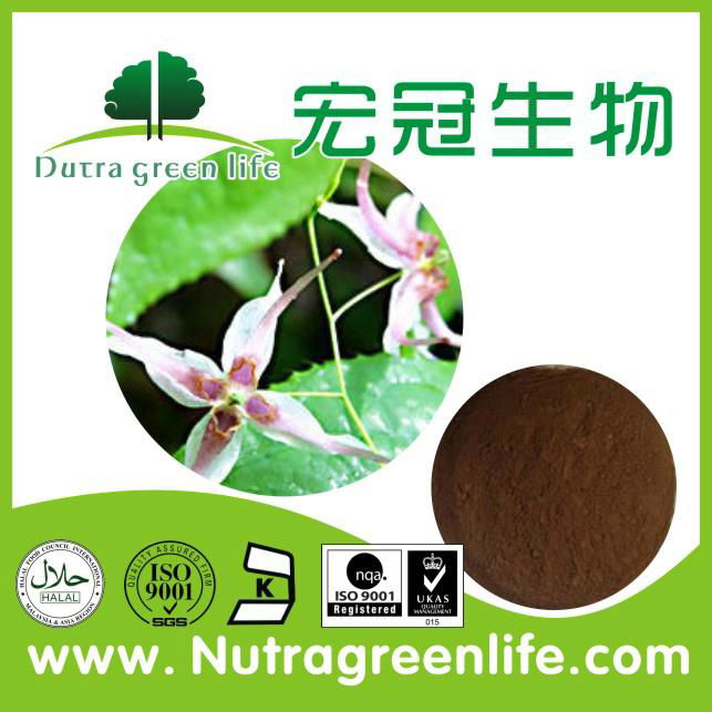 High quality Epimedium Extract 3