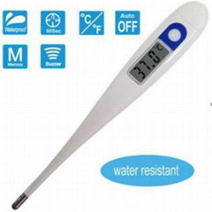 Water-proof Clinical Digital Thermometer