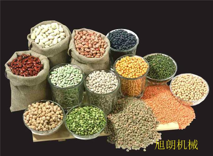 不鏽鋼磨粉機打粉磨漿機廠家直銷 5