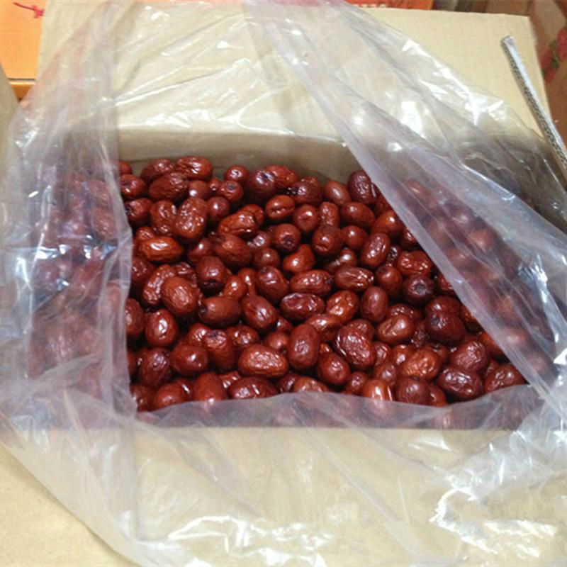 china xinjiang good grade red jujube 2