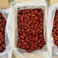 lowest price good grade red jujube 4