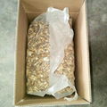 100% nature lowest price walnut kernel 1