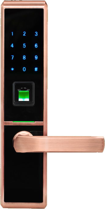 Advanced ZKTeco Smart Zinc Alloy fingerprint recognition Lock 2