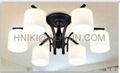 Indoor  White Ceiling Light