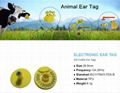 ISO11784/5 RFID animal ear tag EM4305 FDX-B 134.2khz for Pig Animal Tracking 