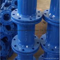 Flanged Pipe fittings