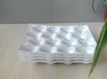 PS strawberry foam trays 2