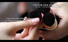 100% Remy Vietnamese Human Hair