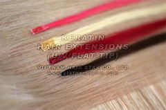 Virgin hair Remy hair Hair Extensions