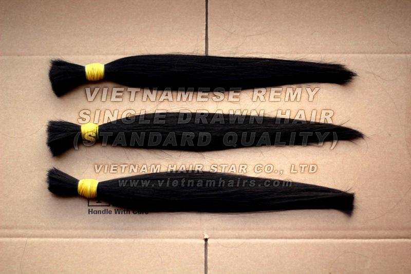 100% Virgin Vietnamses Hair Remy Human Hair 2