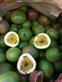 Passion Fruit +84 907879539 3