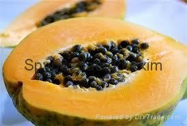 Papayas Fruit +84907879539