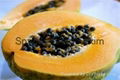 Papayas Fruit +84907879539 1