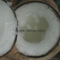 Coconut Wax +84907879539 4