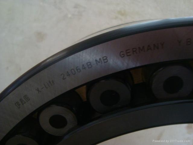 FAG 5209-ZZ bearing 4