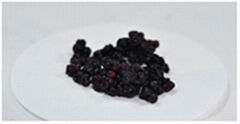 Blueberry Extract