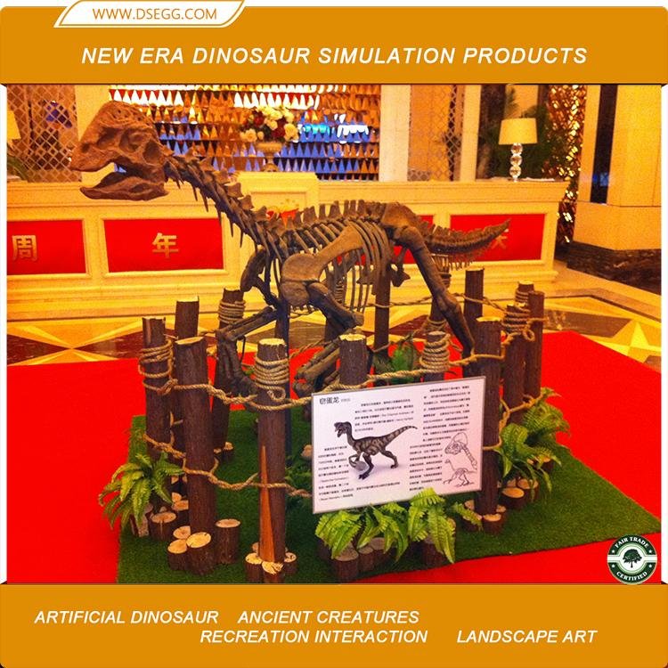 Dinosaur Exhibit Model Resin Dinosaur Skeleton Model 5