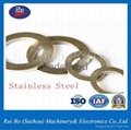 ODM&OEM DIN25201 Carbon Steel Spring Washer with ISO